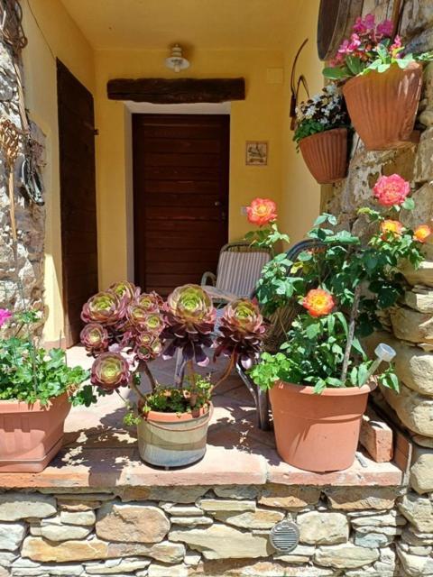 Casa Galla Ovada Exterior photo